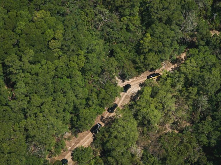 2.6 Tons Of Defender Trophy Crossed A Log Bridge We Built Ourselves